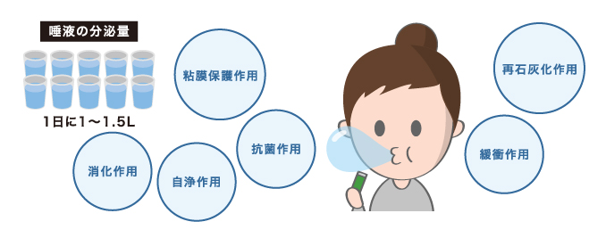 歯が溶けるタイミングのグラフ