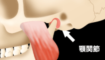 顎関節